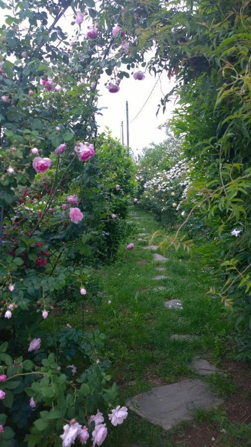 B&B Villa Giardini Susanna Gattico Εξωτερικό φωτογραφία