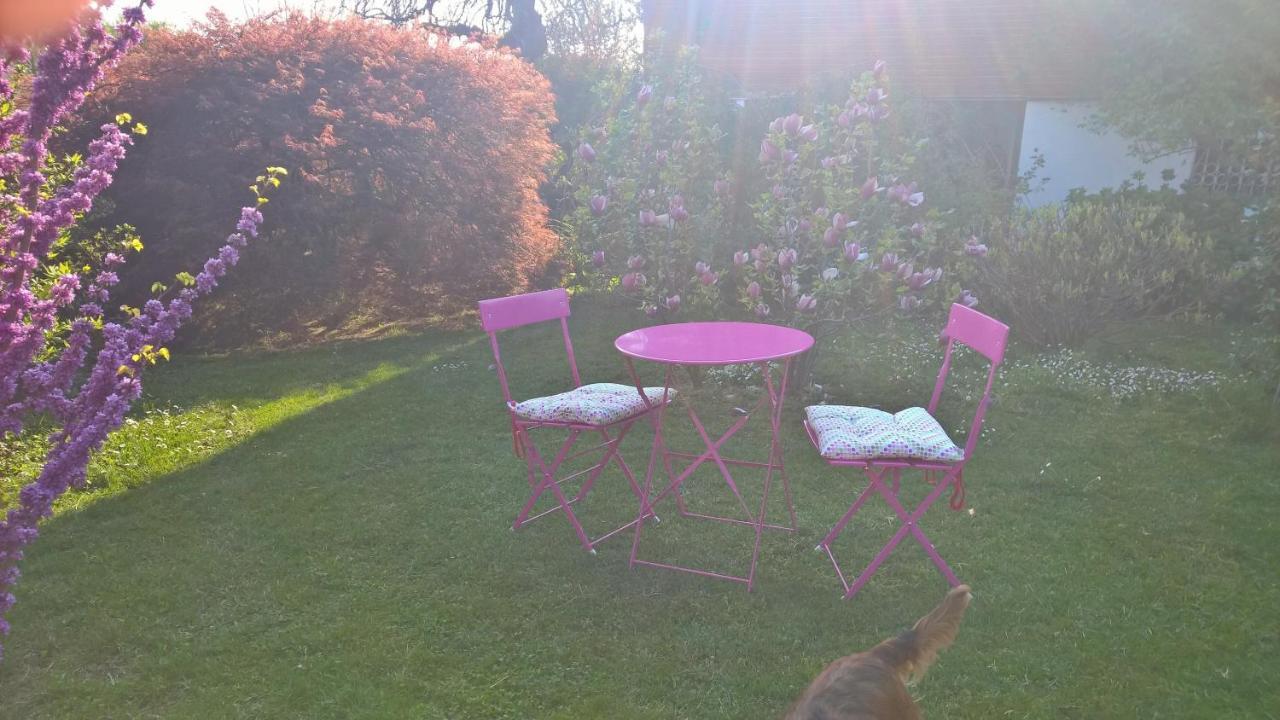 B&B Villa Giardini Susanna Gattico Εξωτερικό φωτογραφία