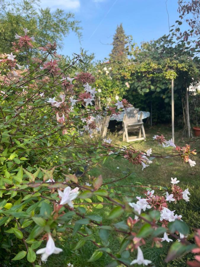 B&B Villa Giardini Susanna Gattico Εξωτερικό φωτογραφία